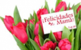 /album/fotogaleria-flores-para-la-nueva-madre-/mama3-png/