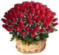 /album/fotogaleria-flores-para-la-nueva-madre-/mama2-png/